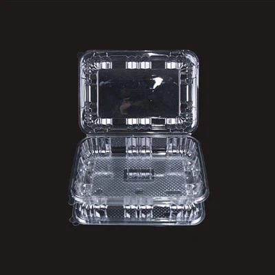 Contenitori per alimenti usa e getta vicino a me